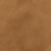 tan Swatch image