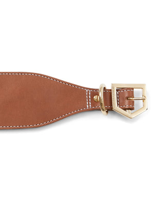 Fig Whippet Dog Collar - Tan